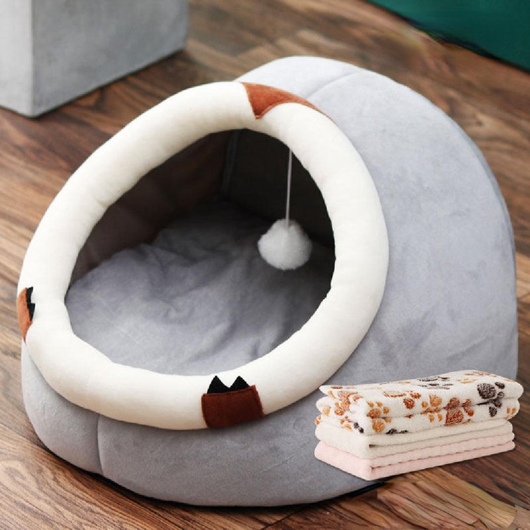 Wayfair cat outlet beds